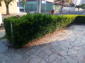 Foto de Nildon Jardinagem & Construções de Cercas Rurais e Alambrados em Marília, SP por Solutudo