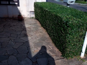Foto de Nildon Jardinagem & Construções de Cercas Rurais e Alambrados em Marília, SP por Solutudo