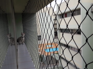Foto de Paládio Redes de Proteção e Telas Mosquiteiras em Avaré, SP por Solutudo