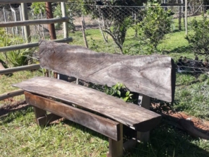 Foto de Helianthus - Centro de Convivência para a Melhor Idade em Mineiros, GO por Solutudo