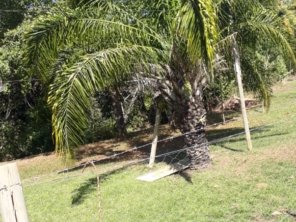 Foto de Helianthus - Centro de Convivência para a Melhor Idade em Mineiros, GO por Solutudo