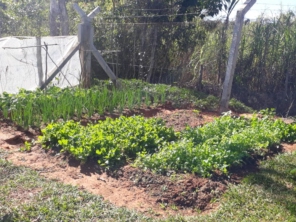 Foto de Helianthus - Centro de Convivência para a Melhor Idade em Mineiros, GO por Solutudo