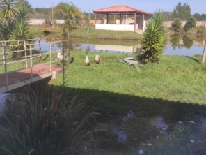 Foto de Helianthus - Centro de Convivência para a Melhor Idade em Mineiros, GO por Solutudo