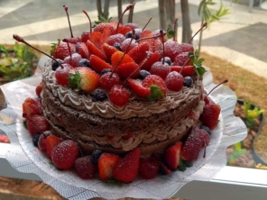 Foto galeria da empresa