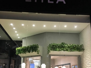 Foto de LIILA em Botucatu, SP por Solutudo