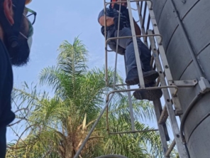 Foto de Desafio SEGMAQ - Vinhedo em Jundiaí, SP por Solutudo