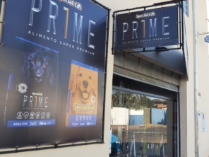 Foto galeria da empresa