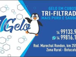 Foto de 7 Gelo em Botucatu, SP por Solutudo