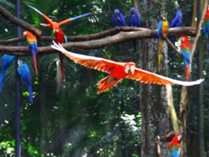 Foto galeria da empresa