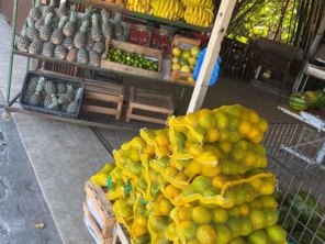 Foto de Quiosque Engordadouro em Jundiaí, SP por Solutudo