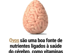 Foto de Rápida Mente em Assis, SP por Solutudo