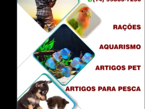 Foto galeria da empresa