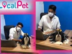 Foto de Local Pet - Clinica Veterinária em Aracaju, SE por Solutudo