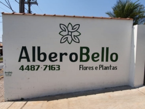Foto de Albero Bello em Itatiba, SP por Solutudo