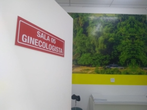 ginecologista