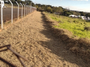 Foto de Gardener Service em Ribeirão Preto, SP por Solutudo