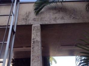 Foto de Gardener Service em Ribeirão Preto, SP por Solutudo