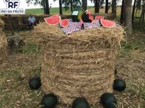 Foto de Rei Da Fruta Comercio Atacadista De Frutas Ltda em Campinas, SP por Solutudo