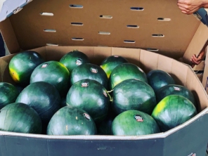 Foto de Rei Da Fruta Comercio Atacadista De Frutas Ltda em Campinas, SP por Solutudo
