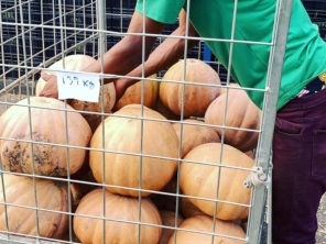 Foto de Rei Da Fruta Comercio Atacadista De Frutas Ltda em Campinas, SP por Solutudo