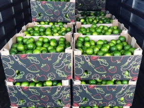 Foto de Rei Da Fruta Comercio Atacadista De Frutas Ltda em Campinas, SP por Solutudo