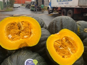 Foto de Rei Da Fruta Comercio Atacadista De Frutas Ltda em Campinas, SP por Solutudo