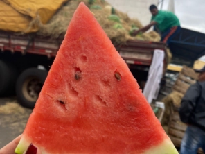 Foto de Rei Da Fruta Comercio Atacadista De Frutas Ltda em Campinas, SP por Solutudo