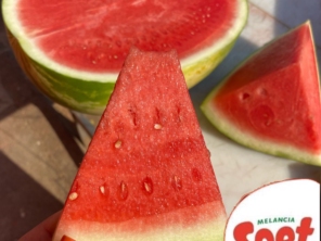 Foto de Rei Da Fruta Comercio Atacadista De Frutas Ltda em Campinas, SP por Solutudo