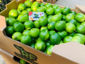 Foto de Rei Da Fruta Comercio Atacadista De Frutas Ltda em Campinas, SP por Solutudo