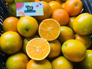 Foto de Rei Da Fruta Comercio Atacadista De Frutas Ltda em Campinas, SP por Solutudo