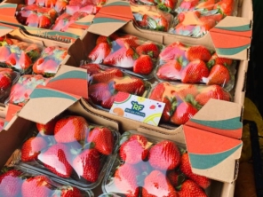 Foto de Rei Da Fruta Comercio Atacadista De Frutas Ltda em Campinas, SP por Solutudo