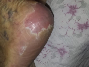 Foto de Suprimentos Vieira em Joinville, SC por Solutudo