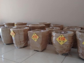 Foto de Cia dos Vasos em Bauru, SP por Solutudo