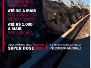 Foto de R.B.G. Comercio De Produtos Agropecuarios Ltda em Garça, SP por Solutudo