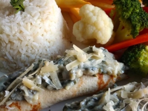 Foto galeria da empresa