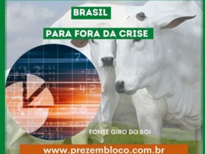 Foto de Prezembloco em Presidente Epitácio, SP por Solutudo