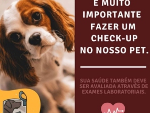 Foto de Pet Kingdom em Aracaju, SE por Solutudo