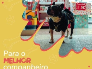 Foto de Pet Kingdom em Aracaju, SE por Solutudo