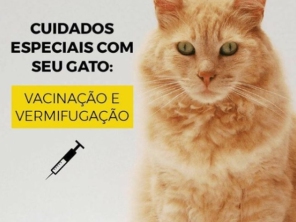 Foto de Pet Kingdom em Aracaju, SE por Solutudo