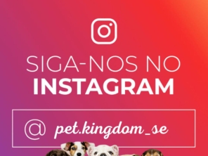 Foto de Pet Kingdom em Aracaju, SE por Solutudo