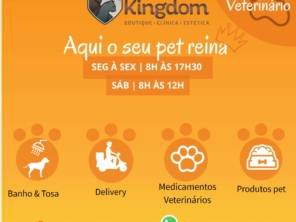 Foto de Pet Kingdom em Aracaju, SE por Solutudo