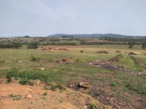 Foto de Terra Nostra em Boituva, SP por Solutudo