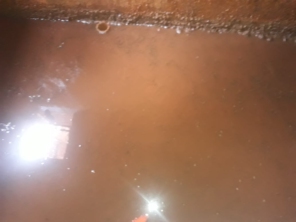 Foto de Dedetizadora Jaú em Jaú, SP por Solutudo