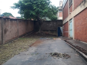 Foto de Dedetizadora Jaú em Jaú, SP por Solutudo
