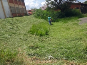 Foto de Dedetizadora Jaú em Jaú, SP por Solutudo
