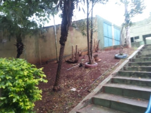 Foto de Dedetizadora Jaú em Jaú, SP por Solutudo