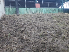 Foto de Dedetizadora Jaú em Jaú, SP por Solutudo