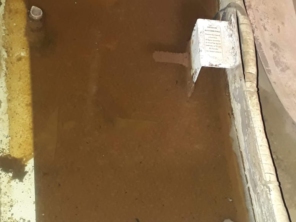 Foto de Dedetizadora Jaú em Jaú, SP por Solutudo