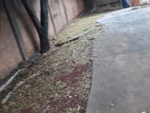 Foto de Dedetizadora Jaú em Jaú, SP por Solutudo