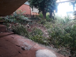 Foto de Dedetizadora Jaú em Jaú, SP por Solutudo